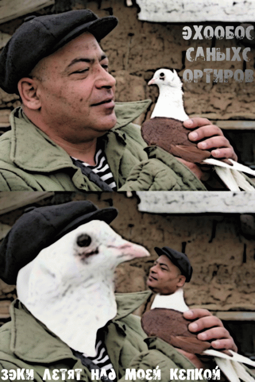 Зэки Летят Над Моей Кепкой